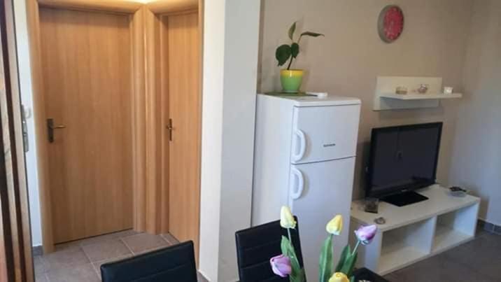 Apartment Dukic Sveti Filip i Jakov Eksteriør bilde