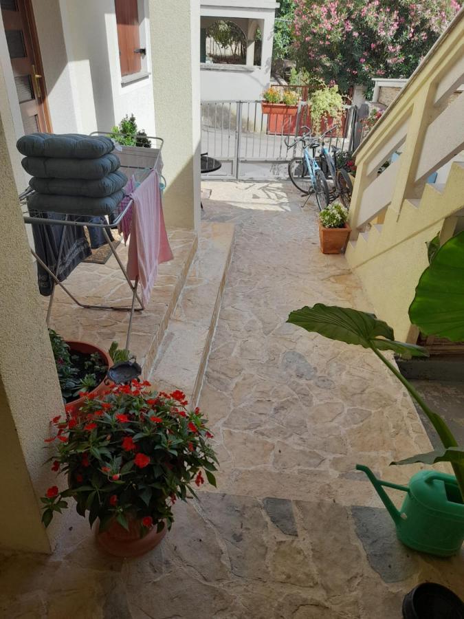 Apartment Dukic Sveti Filip i Jakov Eksteriør bilde