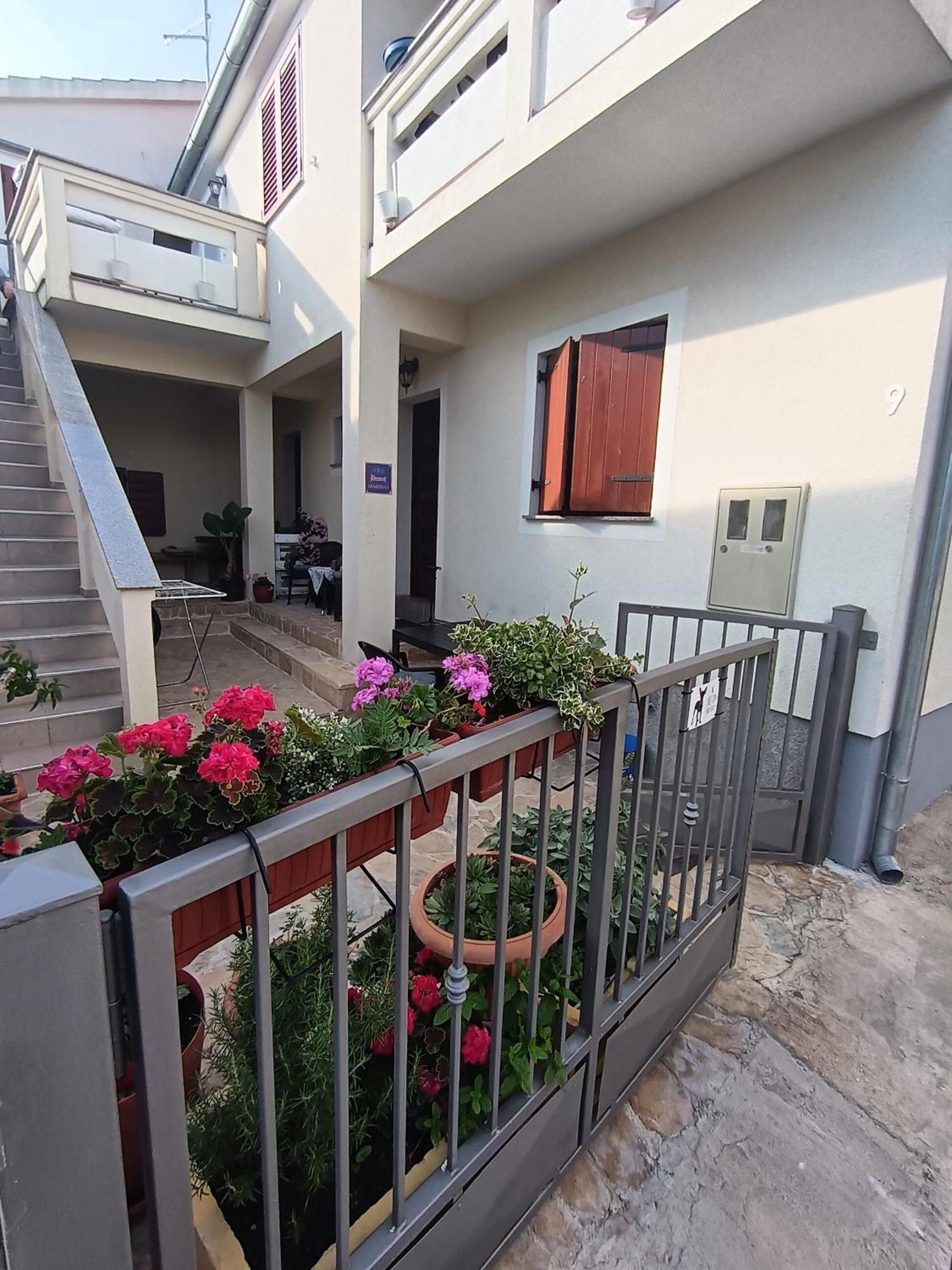 Apartment Dukic Sveti Filip i Jakov Eksteriør bilde